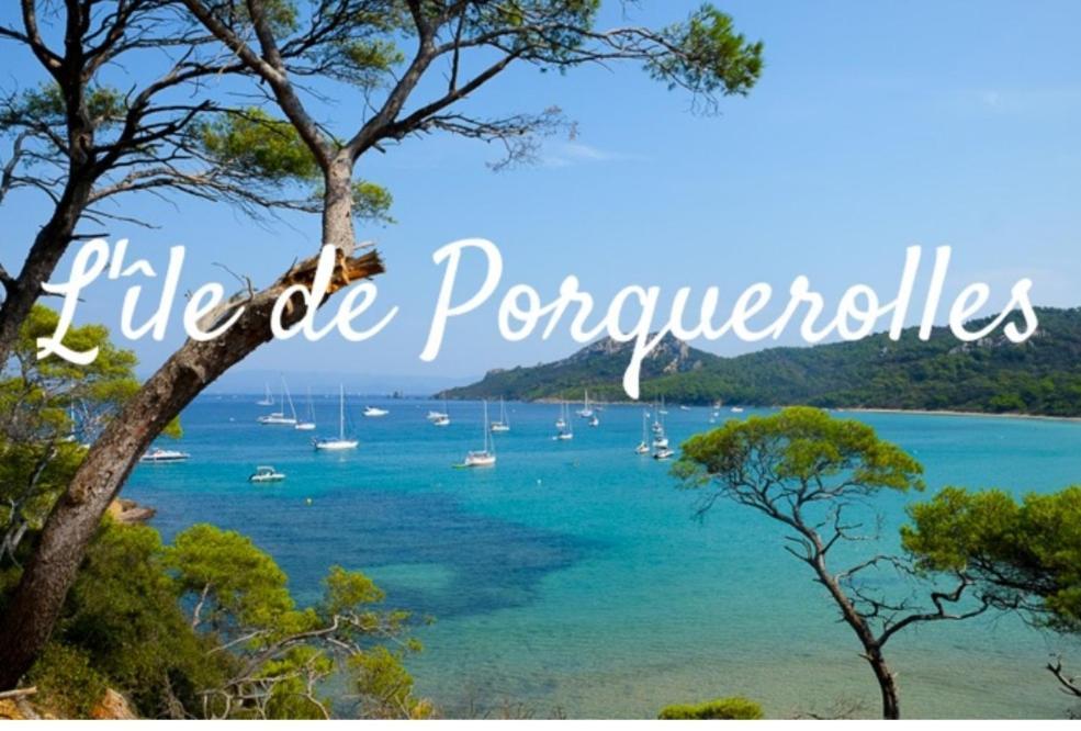 Le Terra-Cota 3 Ch Privees 10' Gare-Port Et Plage, Wfi, Cosy Toulon Buitenkant foto